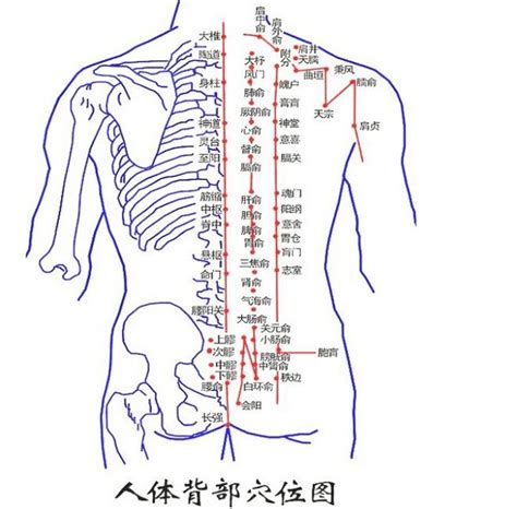 背有痣男|男人背部有痣代表什么意思（男人背部有痣图解大全）。